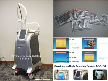 Corps non chirurgical de Cryolipolysis de liposuccion amincissant la machine, machine de perte de poids de vide