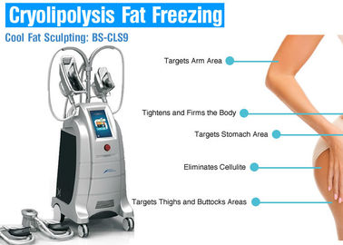 Gros gel de Cryolipolysis amincissant la machine avec 4 poignées pour l'usage de salon ou de clinique de beauté