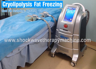 Gros gel de Cryolipolysis amincissant la machine avec 4 poignées pour l'usage de salon ou de clinique de beauté