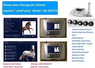 Machine vétérinaire de thérapie de choc de haute énergie de 190 MJ pour le cheval et les petits animaux familiers