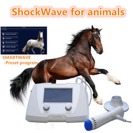 Équipement équin vétérinaire de machine d'onde de choc pour la couleur de blanc de chiens/chevaux