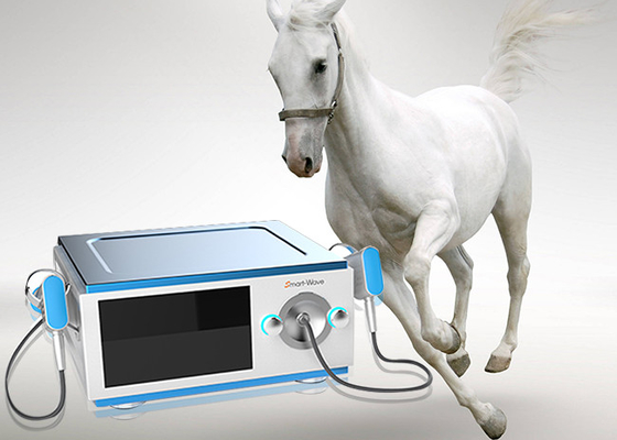 La douleur réduisent la machine à faible bruit d'onde de choc de cheval pour le dispositif médical de chevaux