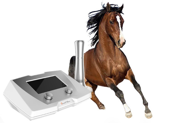 Machine vétérinaire de thérapie d'onde choc de haute énergie pour le cheval de course