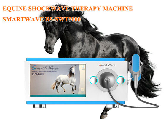 Équipement équin d'onde choc de physiothérapie d'onde de choc de machine radiale professionnelle de thérapie