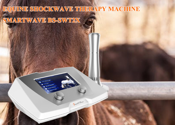 Hertz de fréquence de la machine de thérapie d'onde de choc de cheval de clinique 1 - 22 pour la maladie de soutien de ligament