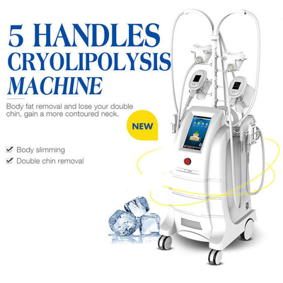 Corps de machine de congélation de Cryolipolysis de 5 poignées gros sculptant la machine pour la grosse réduction