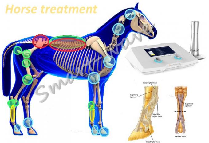 Machine vétérinaire de thérapie d'onde choc de machine de thérapie d'onde choc de haute énergie pour le cheval de course