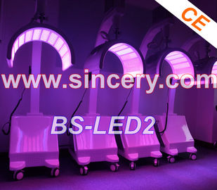 Machine professionnelle 10 du salon de beauté LED Phototherapy - fréquence 110HZ