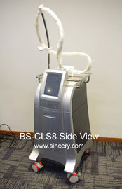 Machine de congélation confortable de graisse du corps, machine portative de Cryolipolysis de perte de poids