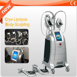 Machines de perte de Cryolipolysis de sécurité grosses, grosse machine de contournement de congélation de corps
