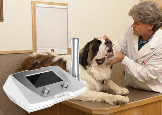 L'utilisation vétérinaire a retardé machine équine/canine curative de traitement de fractures d'onde de choc de thérapie
