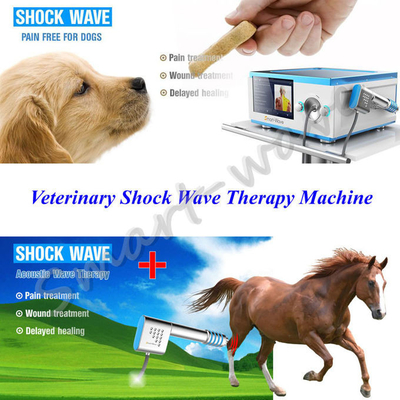 Machine focalisée de thérapie d'onde de choc de cheval d'émetteur pour des douleurs de dos de cheval
