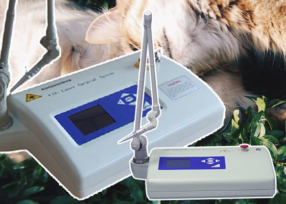 Instrument médical de laser de traitement partiel chirurgical vétérinaire de peau
