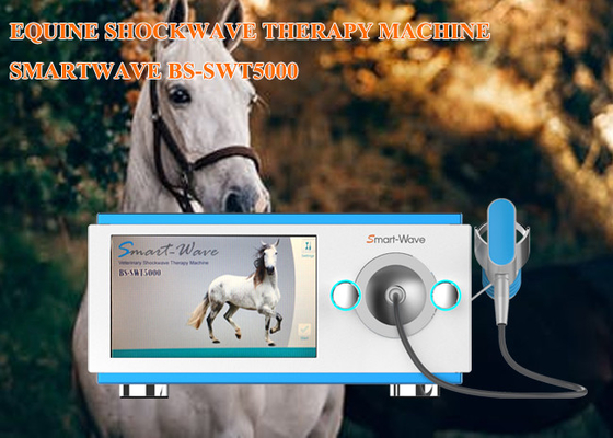 Dispositif Extracorporeal de thérapie d'onde de choc de chevaux d'ESWT