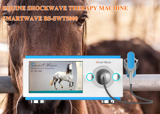 Dispositif Extracorporeal de thérapie d'onde de choc de chevaux d'ESWT