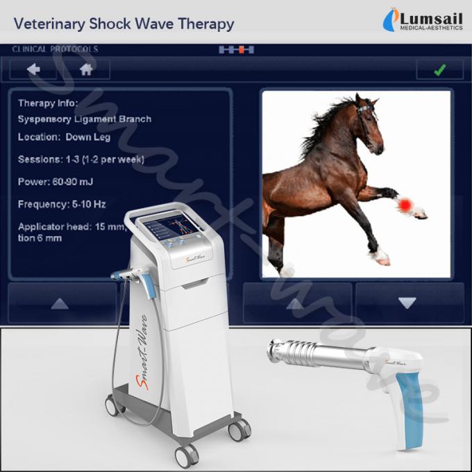 Animaux familiers vétérinaires de physiothérapie les petits utilisent la machine extracorporeal d'onde choc de cheval de thérapie d'onde de choc équine
